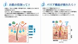 お肌の役割、バリア機能の説明図