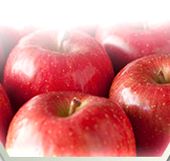 リンゴ果実培養エキスが生成できるリンゴ