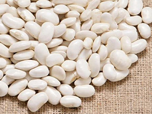 「純化白花豆エキス」が抽出できるベニバナインゲンマメ